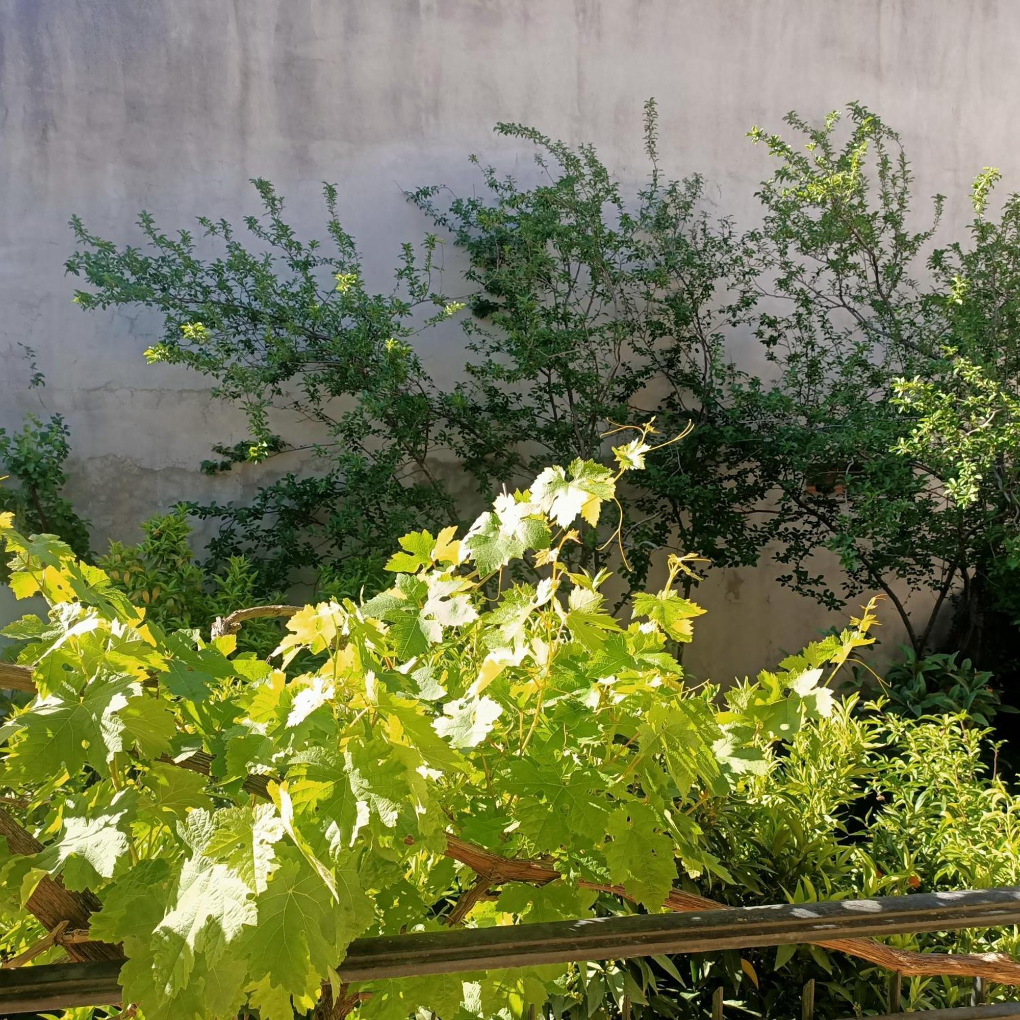 Janas House Apartman Bari Sardo Kültér fotó